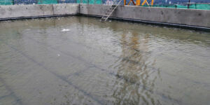 Piscina-teste-com-água